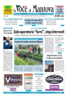 Voce di Mantova