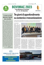 supplementi