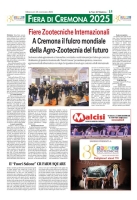 Supplementi e inserti