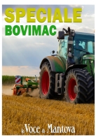 Supplementi e inserti