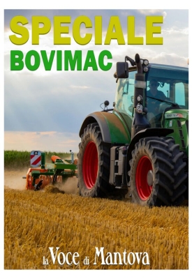 Supplementi e inserti