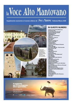 Supplementi e inserti